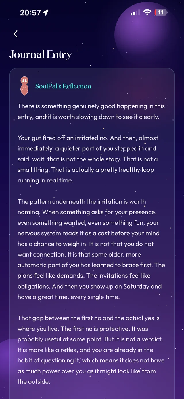 Your SoulPal's written reflection